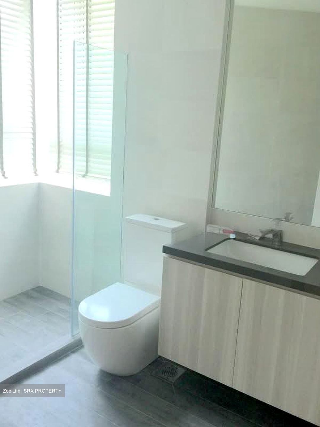 Nassimville (D10), Apartment #538895721